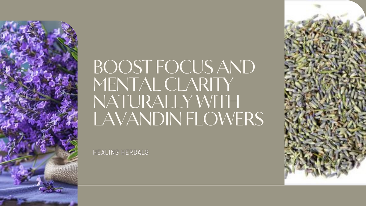 Lavandin flowers, from an article on focus and mental clarity