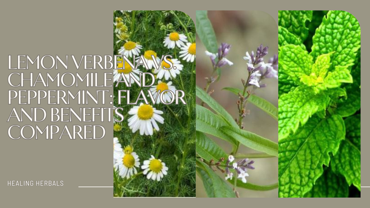 Lemon verbena, from an article comparing it with chamomile and peppermint
