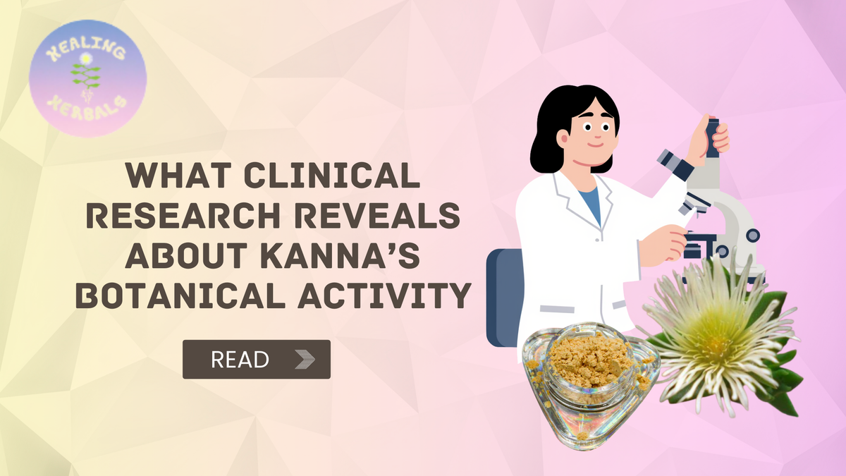 Kanna, from an article on clinical research into its botanical activity