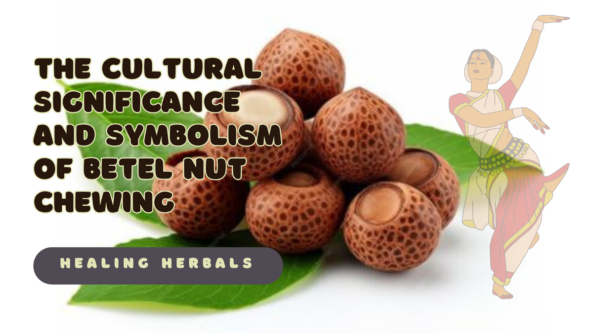 Betel nut, from an article on the cultural significance of betel nut chewing