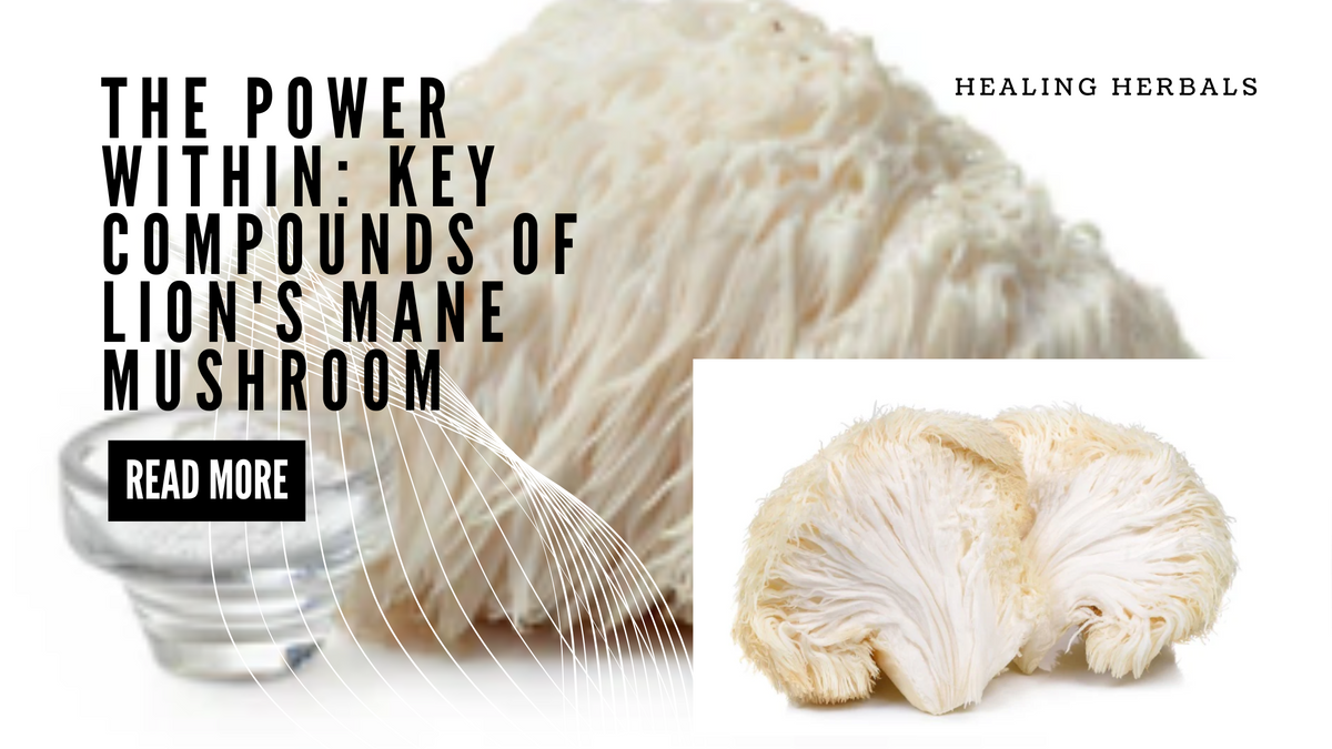Lion's mane mushroom, from an article on its key compounds