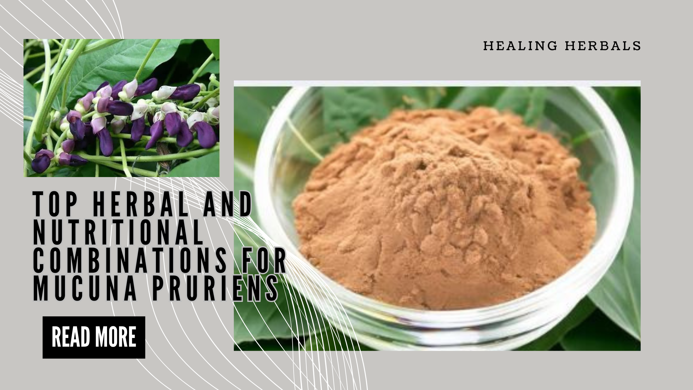 Top Herbal and Nutritional Combinations for Mucuna pruriens