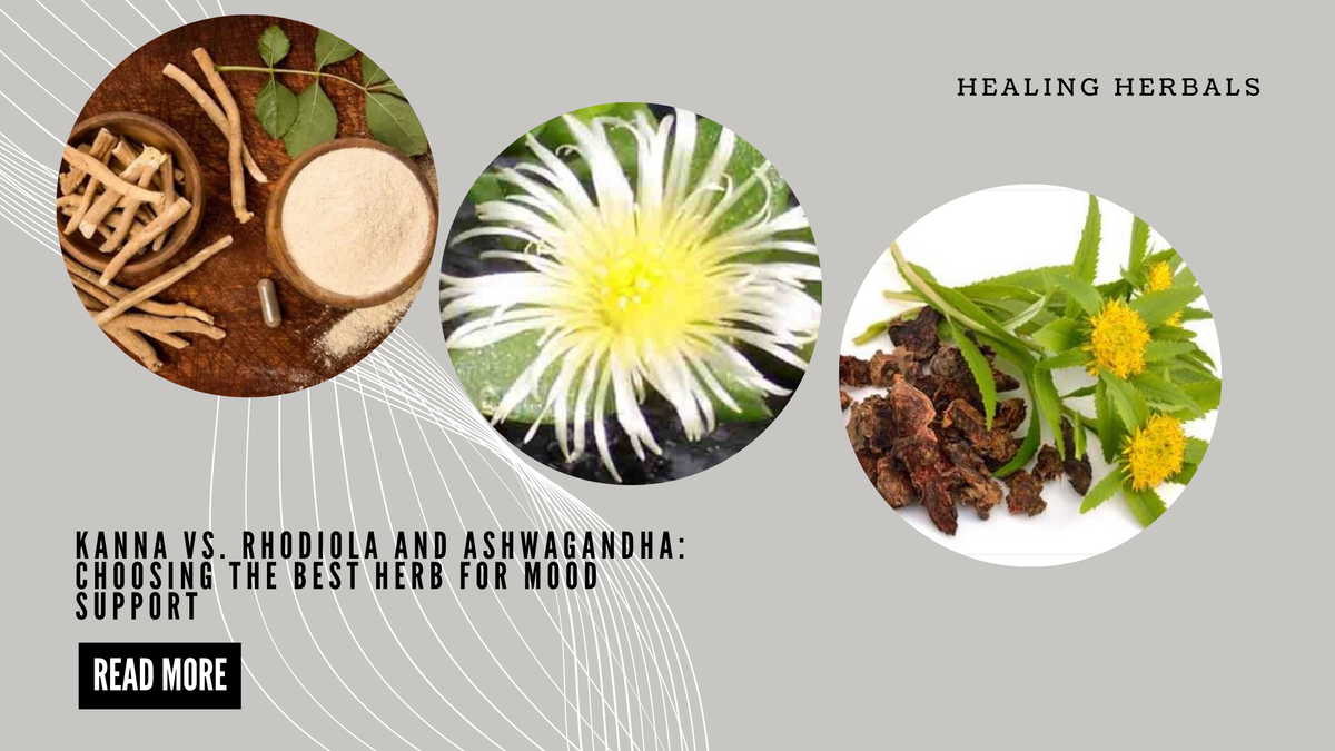 Kanna, from an article comparing kanna with rhodiola and ashwagandha