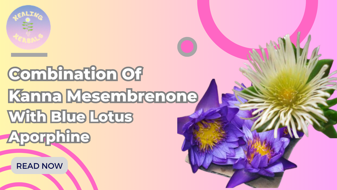 Wonderful Combination Of Kanna Mesembrenone With Blue Lotus Aporphine