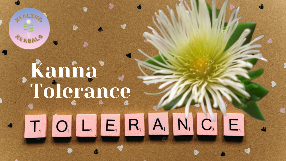 Kanna, from an article on kanna and tolerance