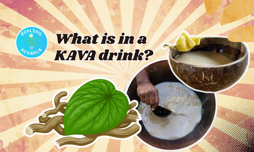 Kava drink, from an article on ingredients, effects and preparation