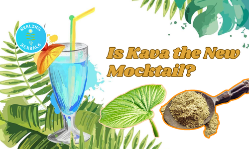 Kava drink, from an article on kava in alcohol-free bars