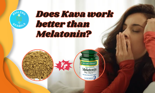 Kava, from an article comparing kava and melatonin for sleep