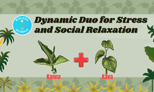 The Dynamic Duo for Stress and Social Relaxation—Kanna and Kava Together