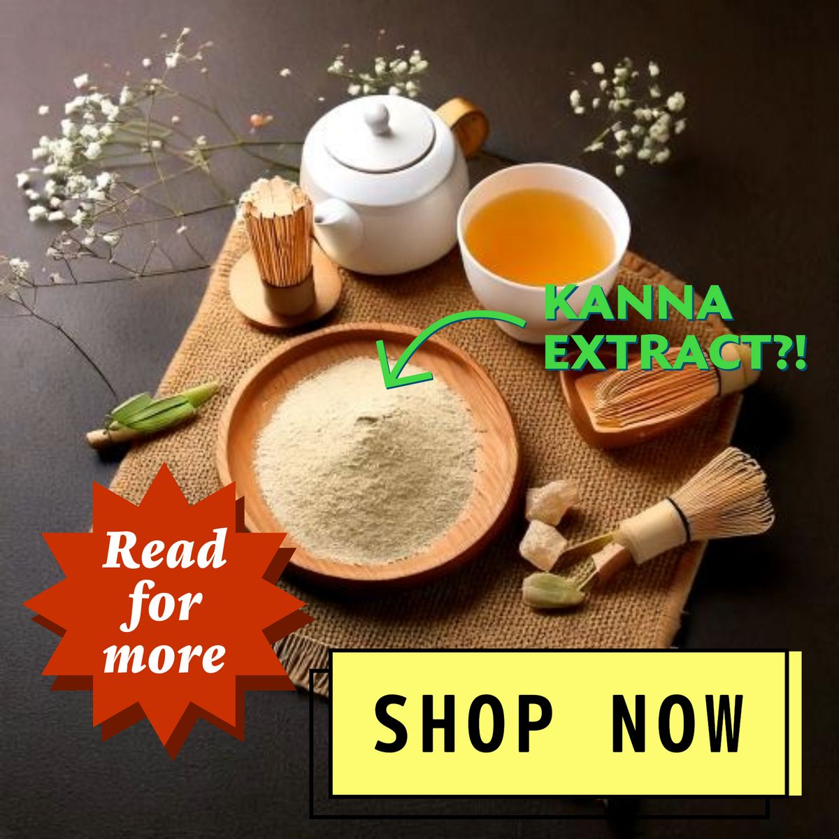 Fermented kanna extract, from an article on its phytochemistry and mechanisms