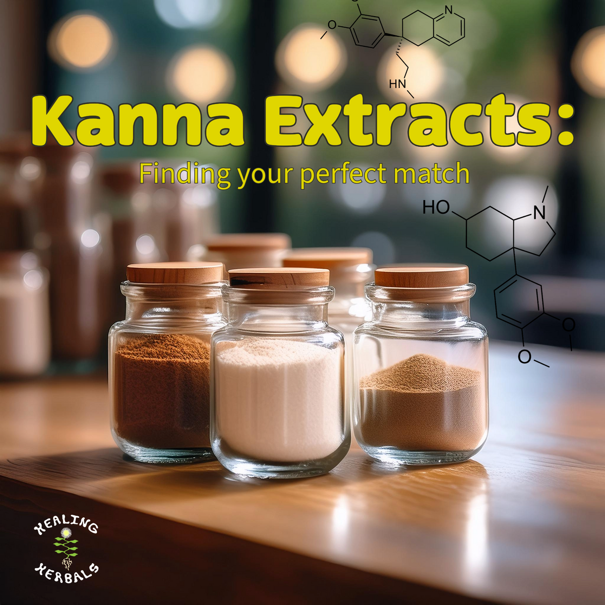 Kanna extracts, from a buying guide on differences and details
