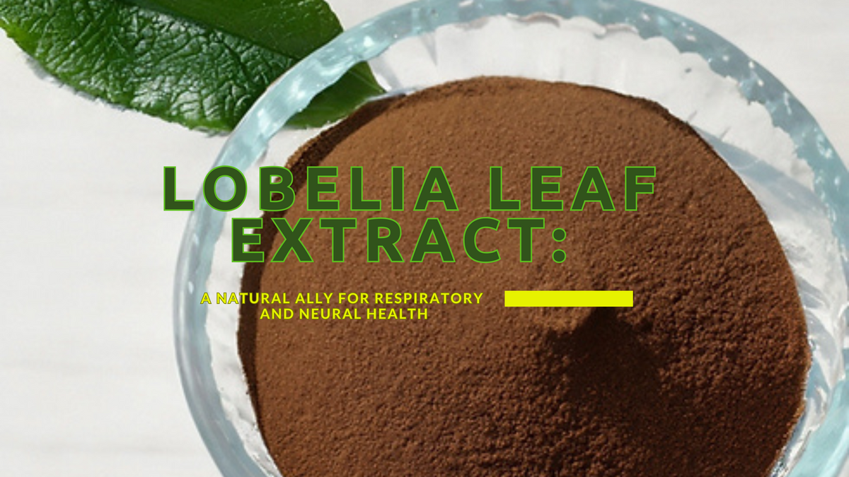 Lobelia leaf extract, from an article on its traditional use and alkaloids