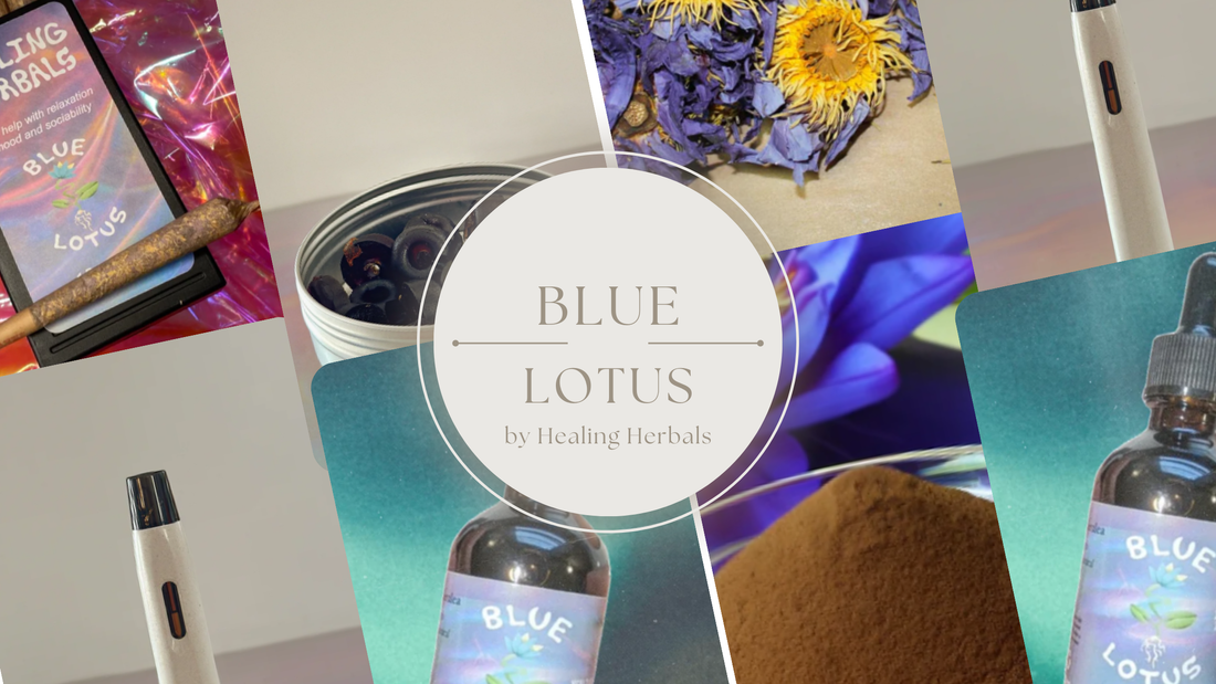 Exploring Top Types of Blue Lotus Supplements