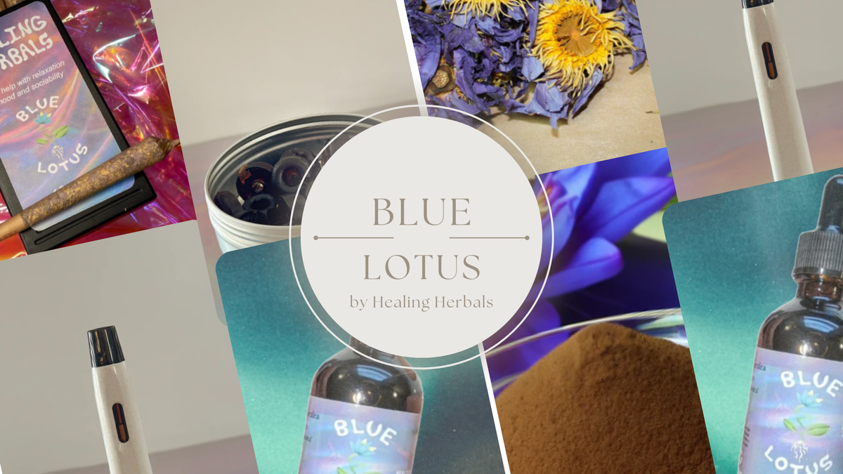 Blue lotus supplements, from an article on the top types available