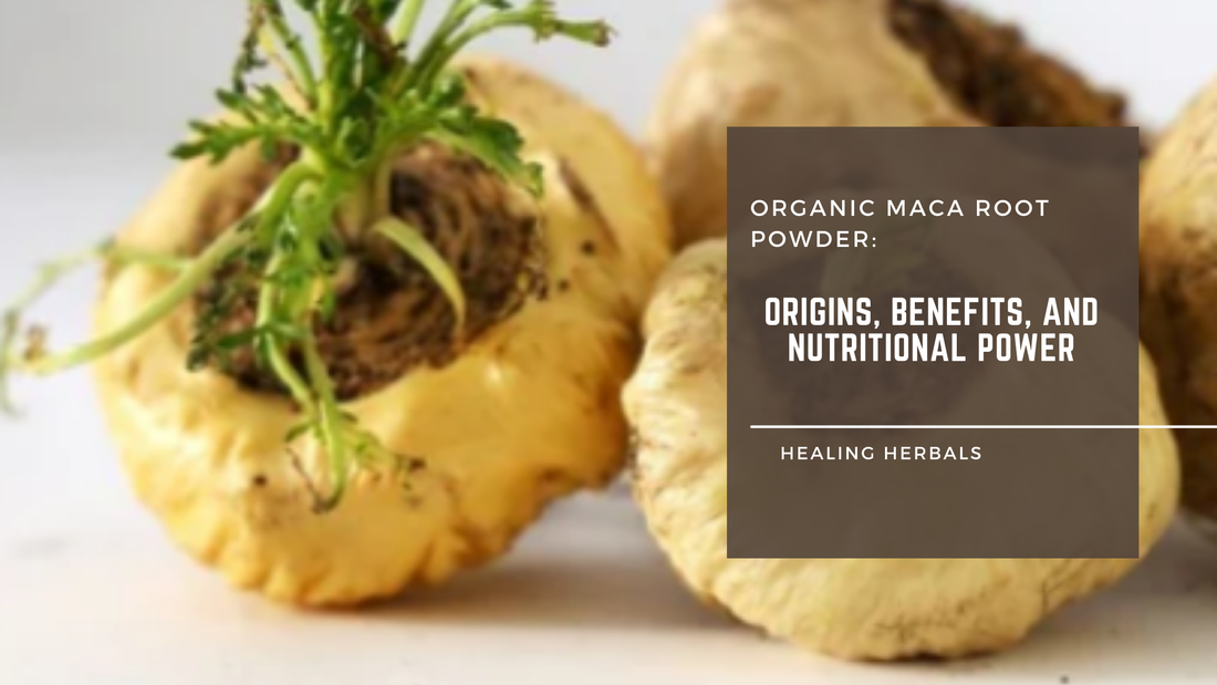 Organic Maca Root Powder: Origins, Benefits, and Nutritional Power
