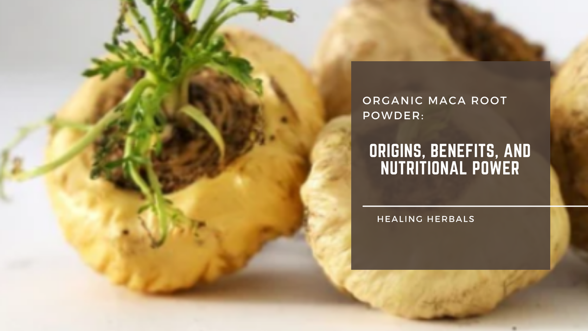 Organic maca root powder, from an article on its origins and benefits
