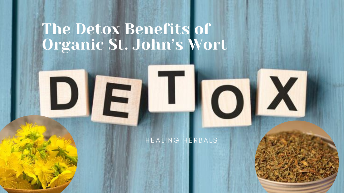 Organic St. John's wort, from an article on its compounds and common forms