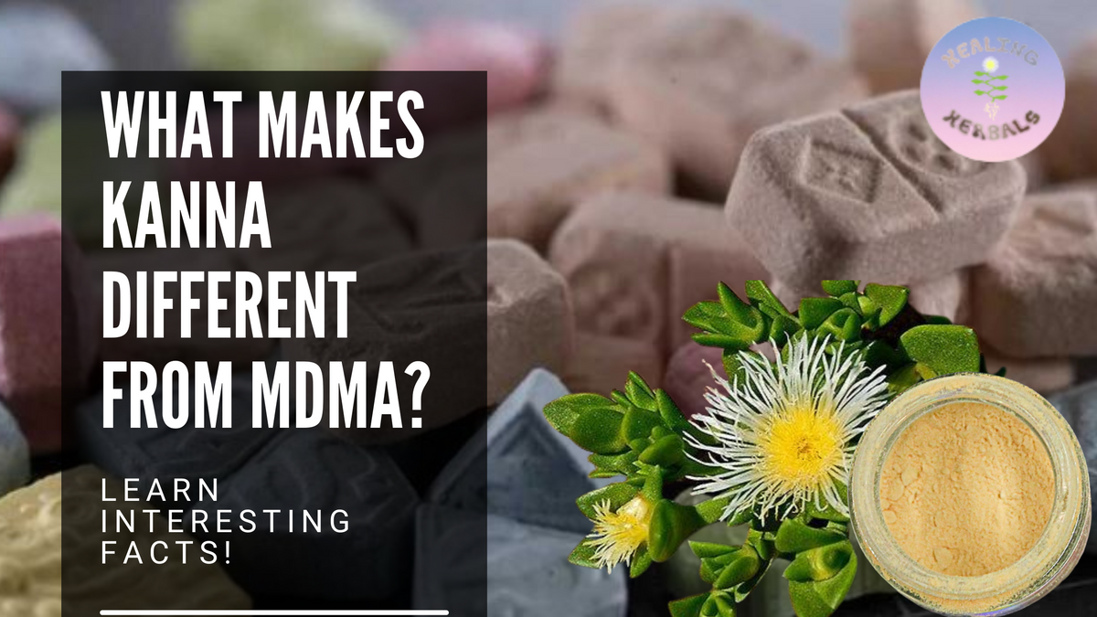 Kanna, from an article on how kanna differs from MDMA