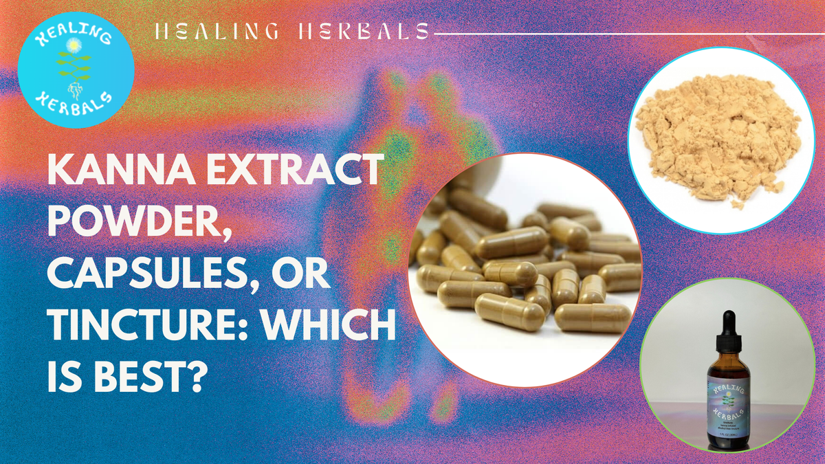 Kanna extract powder, capsules and tincture, from a comparison article