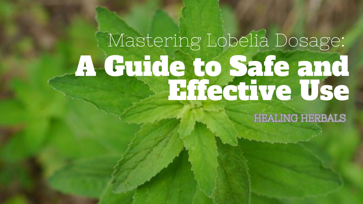 Lobelia, from an article on safe and effective dosage