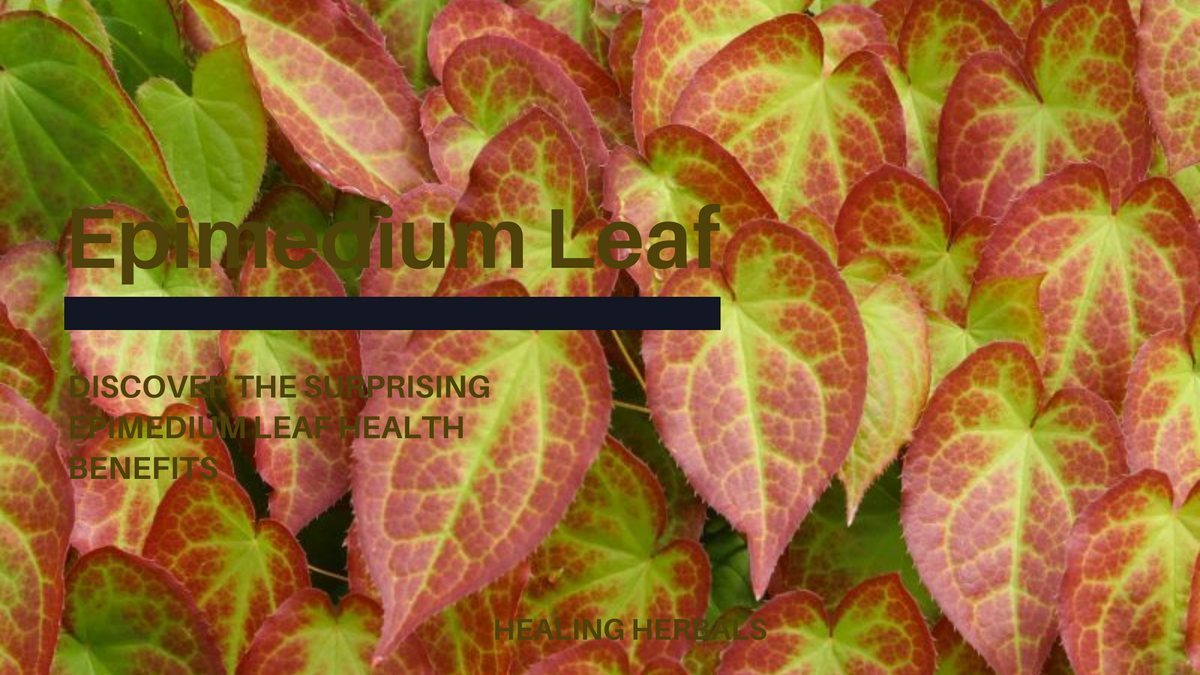Epimedium leaf, from an article on its health benefits
