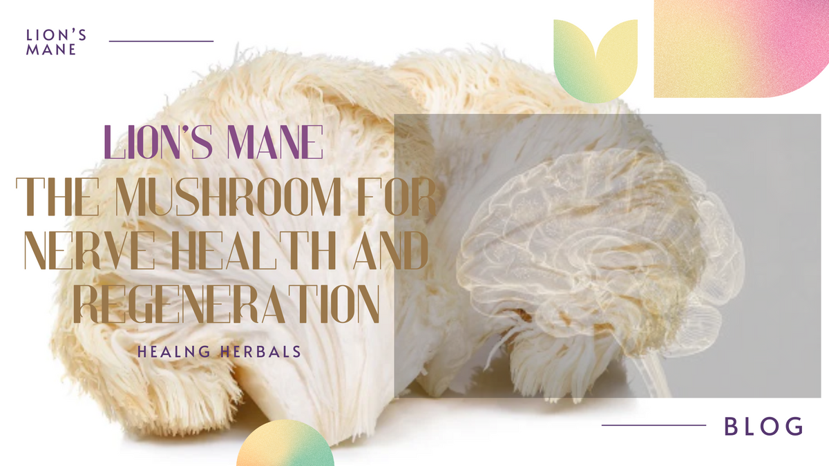 Lion's mane mushroom, from an article on the compounds researchers study
