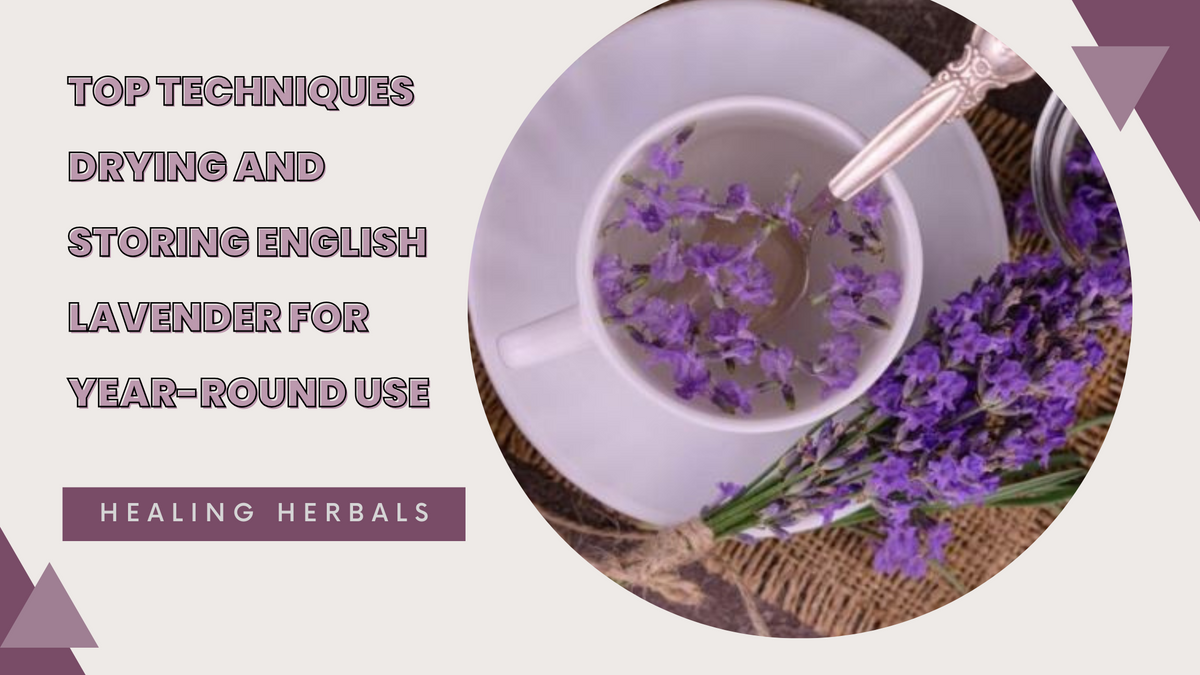 English lavender, from an article on drying and storing lavender