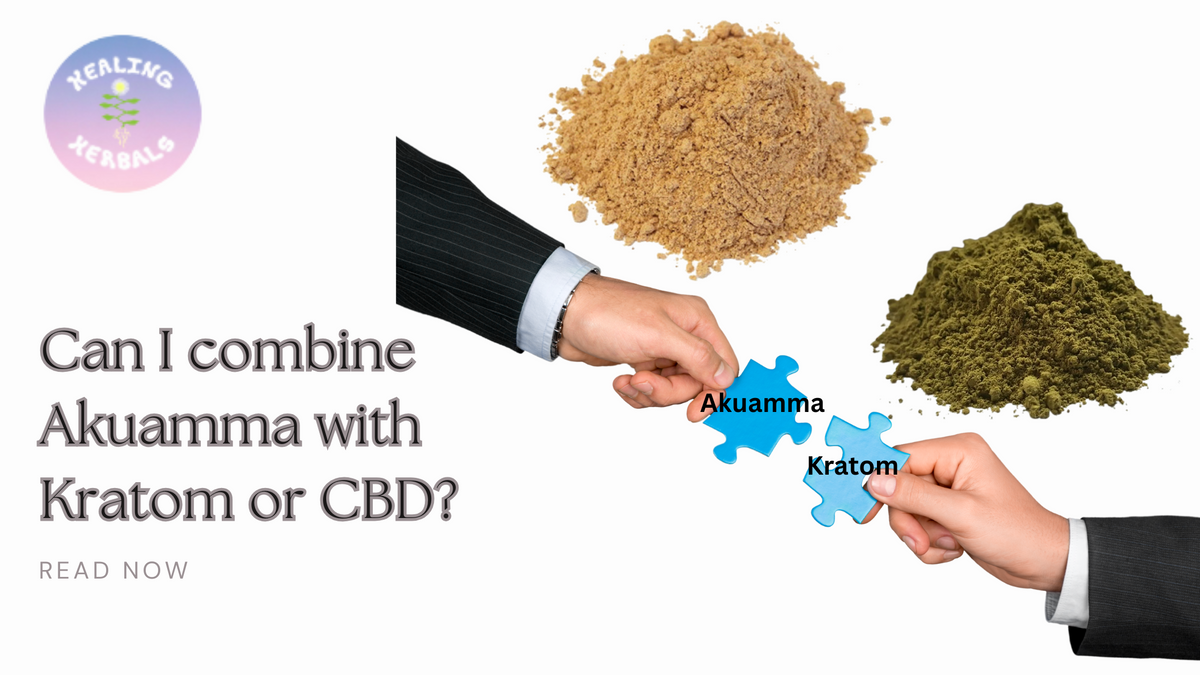 Akuamma seeds, from an article on stacking akuamma with kratom or CBD
