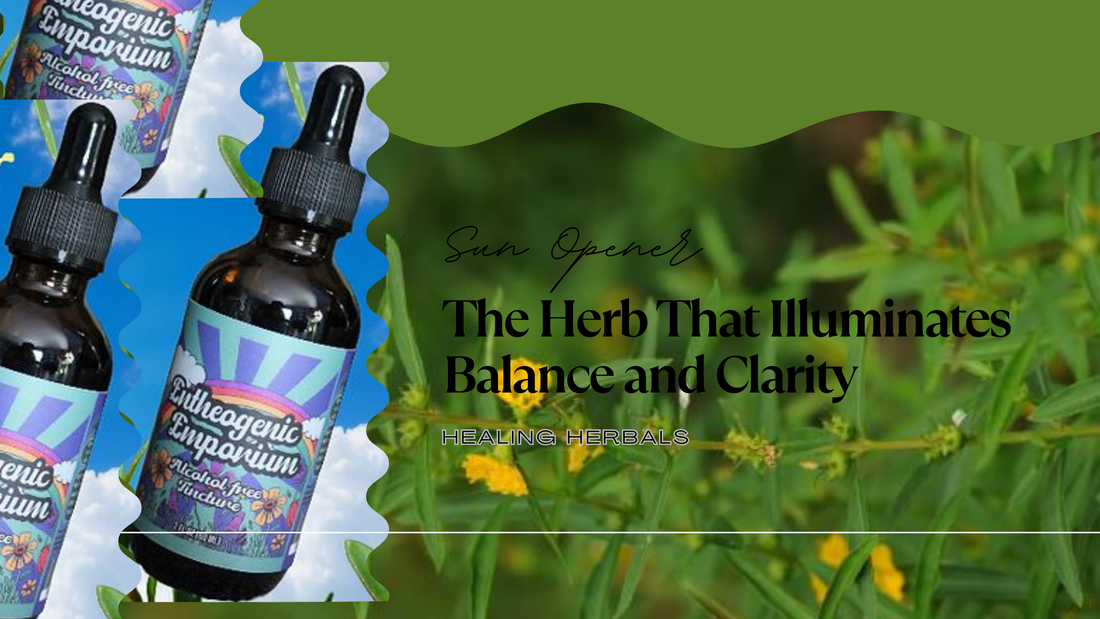 Sun Opener: The Herb That Illuminates Balance and Clarity