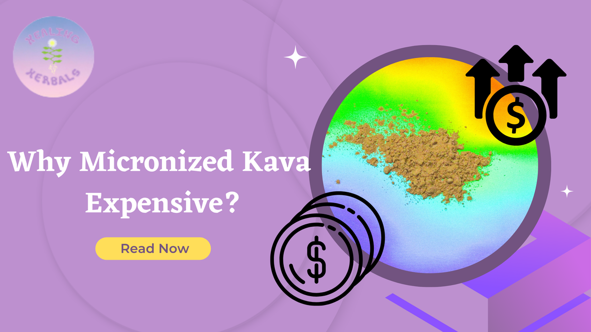 Micronized kava, from an article on why it costs more than instant kava