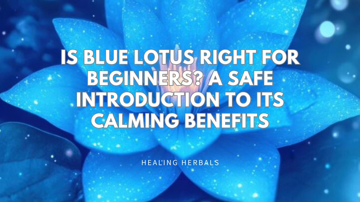 Blue lotus, from an article on blue lotus for beginners