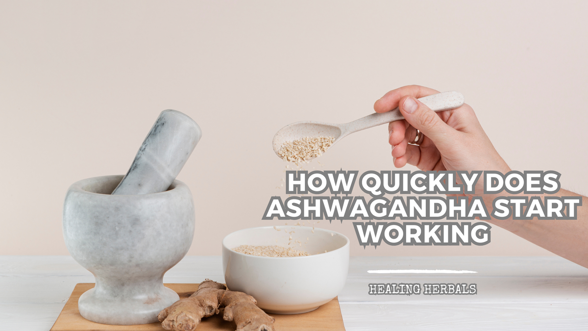 Ashwagandha, from an article on how quickly it starts working