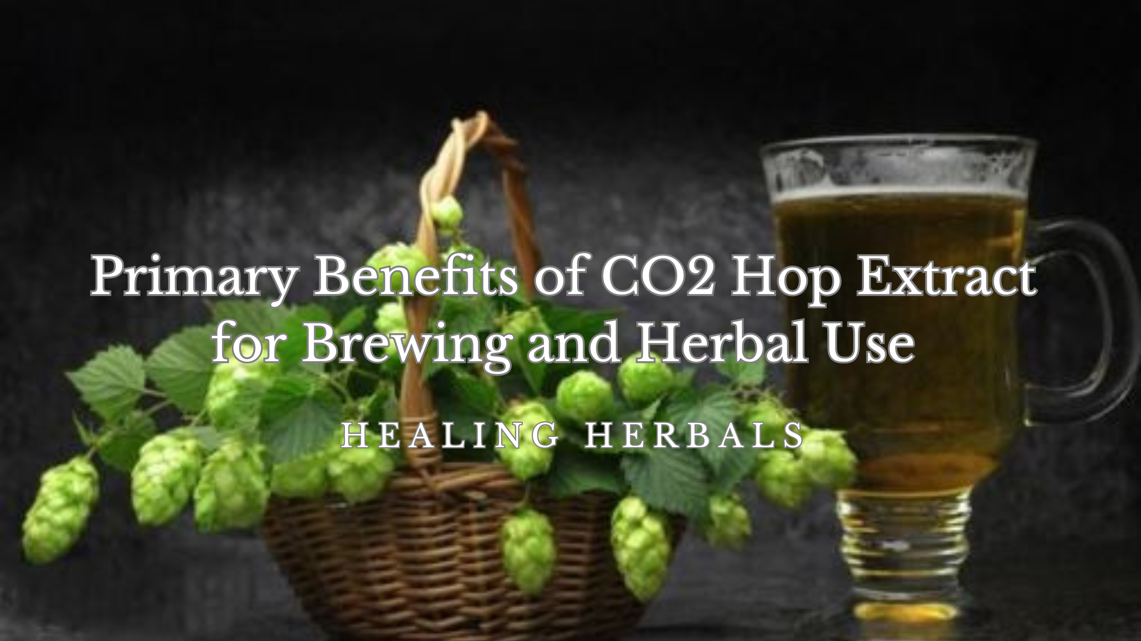 Primary Benefits of CO2 Hop Extract for Brewing and Herbal Use