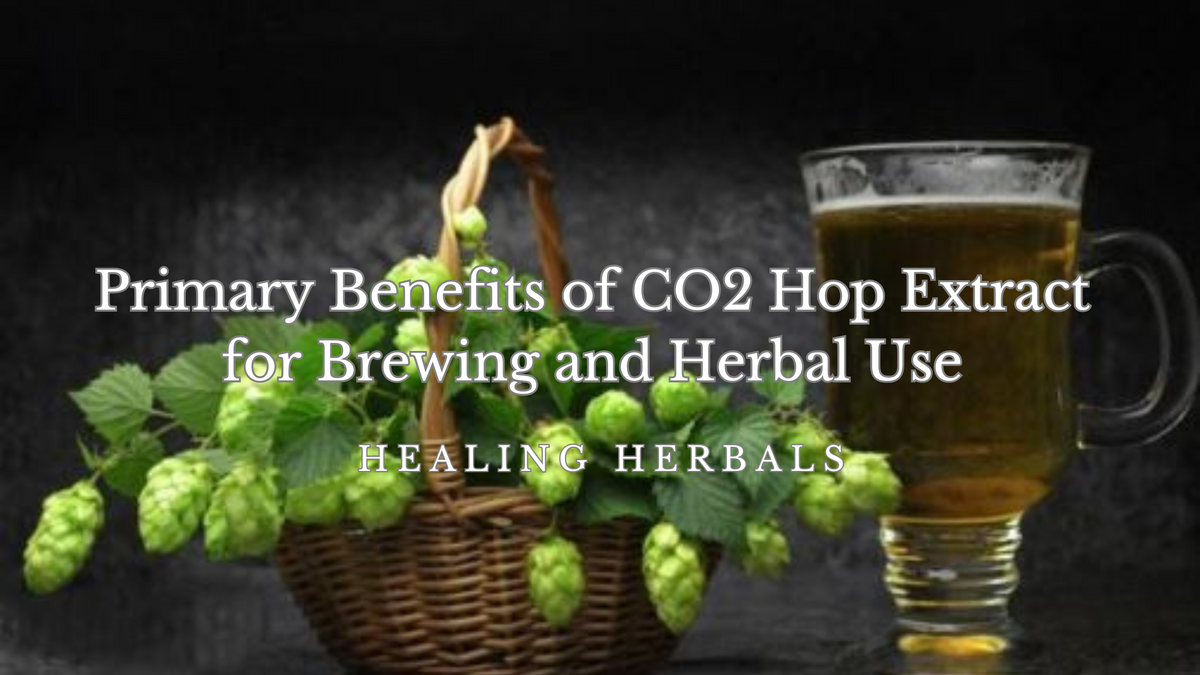 CO2 hop extract, from an article on its benefits for brewing and herbal use