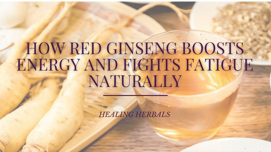 How Red Ginseng Boosts Energy and Fights Fatigue Naturally