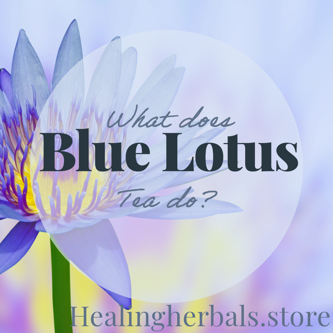 Blue lotus tea, from an article on what blue lotus tea does