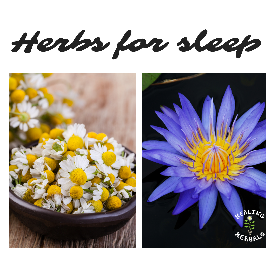 Calming botanicals, from a field guide to traditional calming herbs