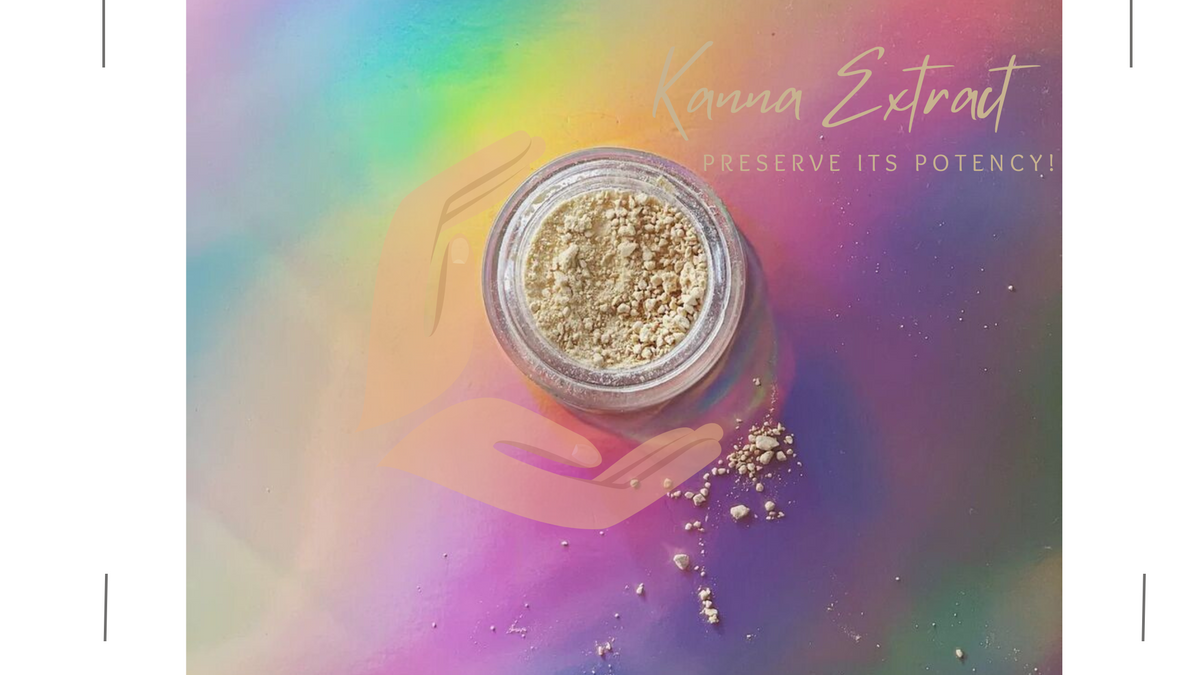 Kanna extract, from an article on storing it for maximum potency