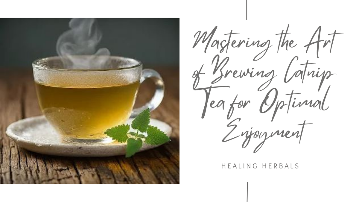 Catnip tea, from an article on brewing catnip tea