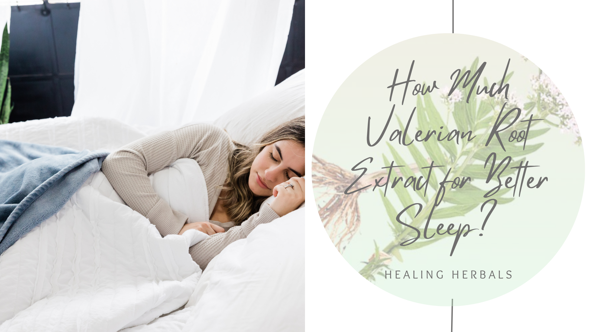 How Much Valerian Root Extract for Better Sleep?