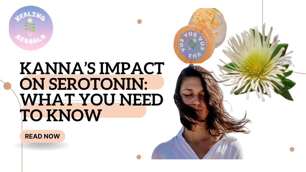 Kanna, from an article on kanna and serotonin