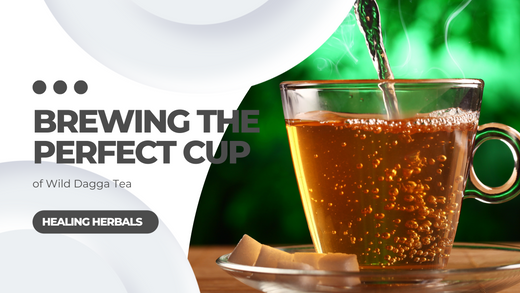 Brewing the Perfect Cup of Wild Dagga Tea
