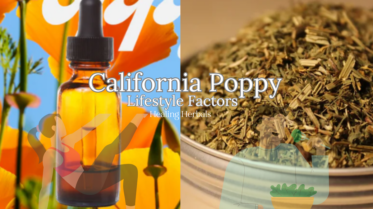 California poppy, from an article on California poppy and lifestyle factors