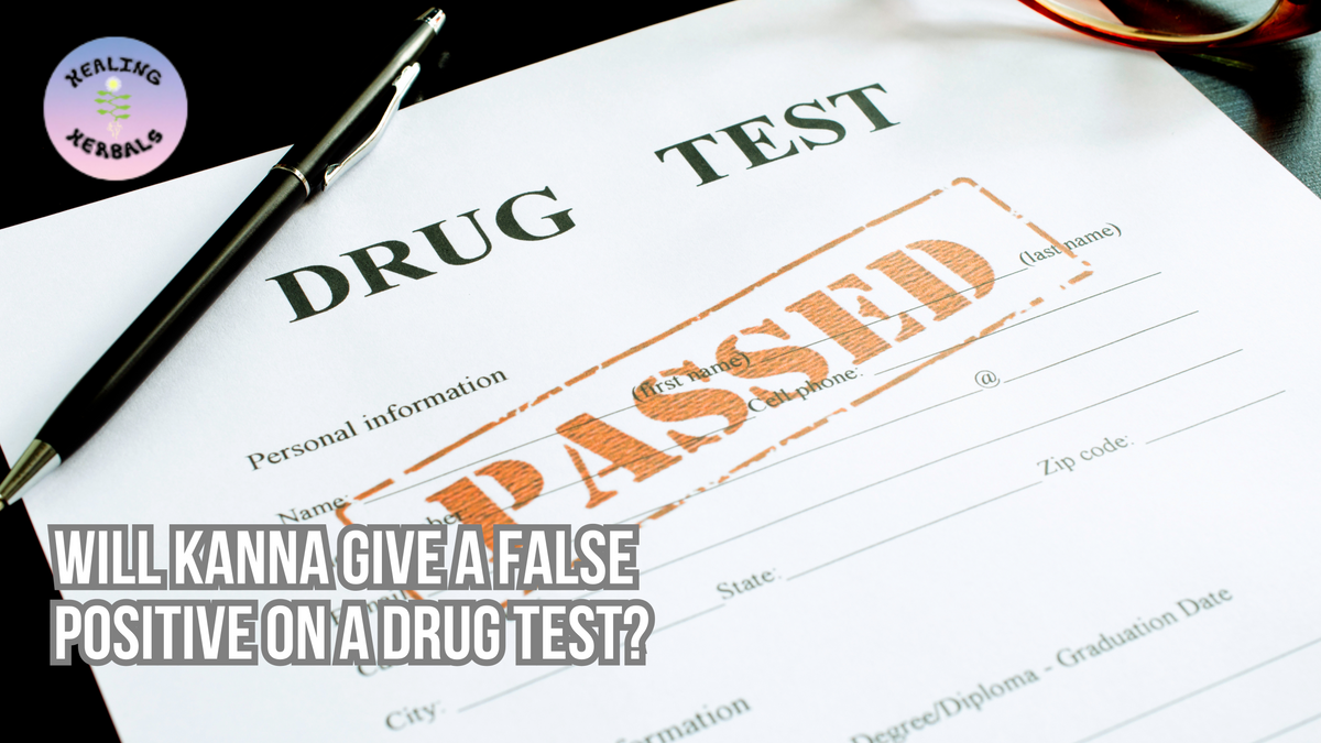 Kanna, from an article on kanna and drug test results