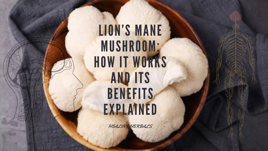 Lion’s Mane Mushroom: How It Works and Its Benefits Explained
