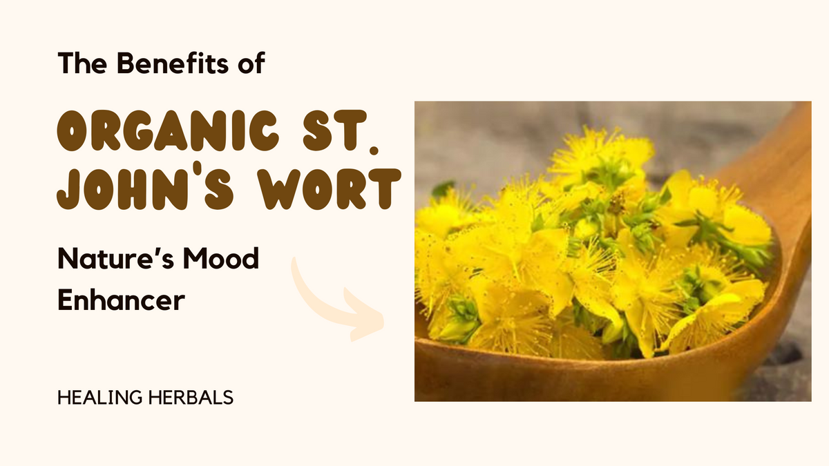 Organic St. John's wort, from an article on its benefits