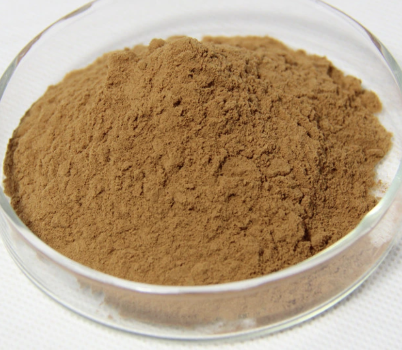 Close-up of fine brown Lampranthus extract powder in a shallow glass dish, showcasing a smooth, earthy botanical texture on a neutral white background.