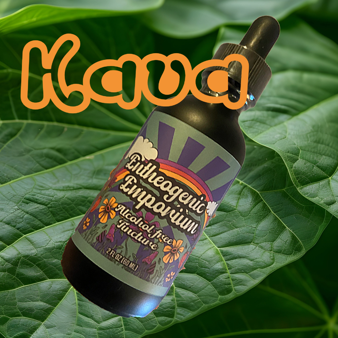 High-potency Kava tincture by Healing Herbals in a dark glass dropper bottle, featuring a colorful alcohol-free tincture label, displayed on a vibrant green leaf background with “Kava” text overlay.