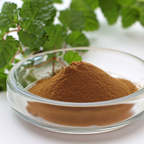 Close-up of lemon balm extract powder forming a smooth mound in a clear glass dish, with fresh green lemon balm leaves in the background on a clean white surface.