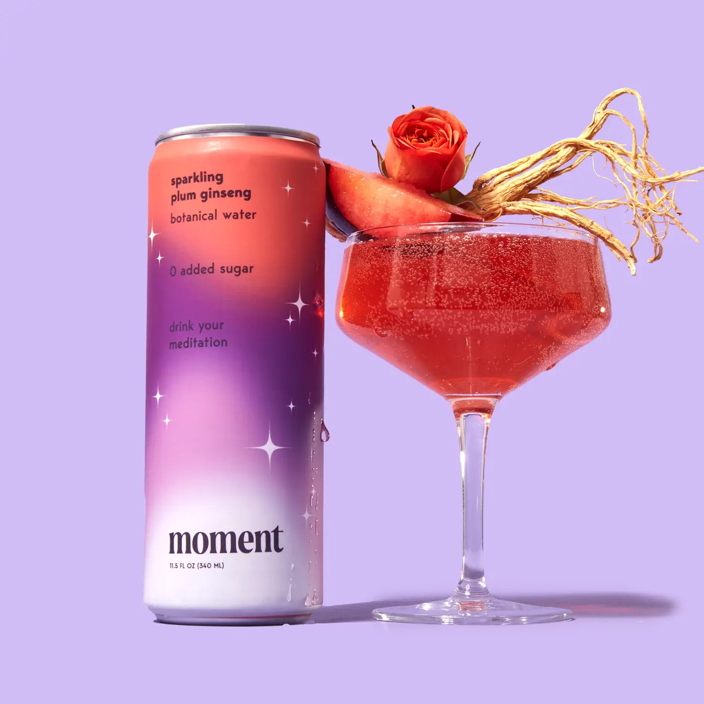 Sparkling Plum Ginseng Moment Botanical Water